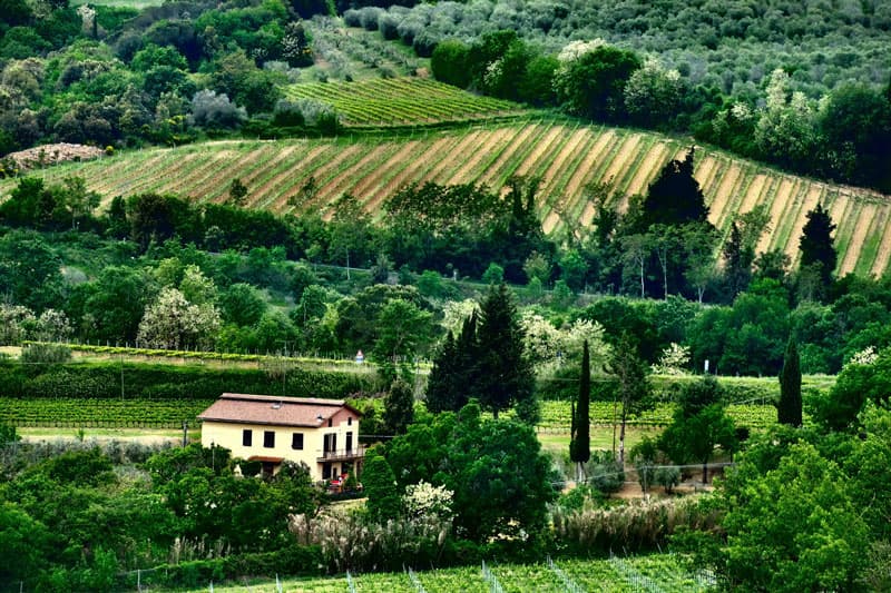 Chianti